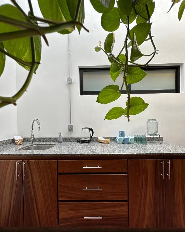 Hotel Boutique Casa Degollado โคลิมา ภายนอก รูปภาพ